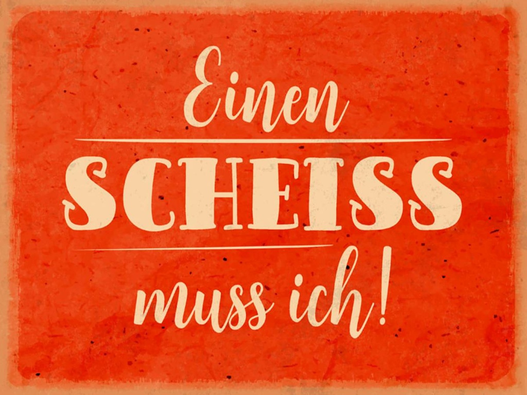 Holzschild 30x40 cm einen Scheiss muss ich