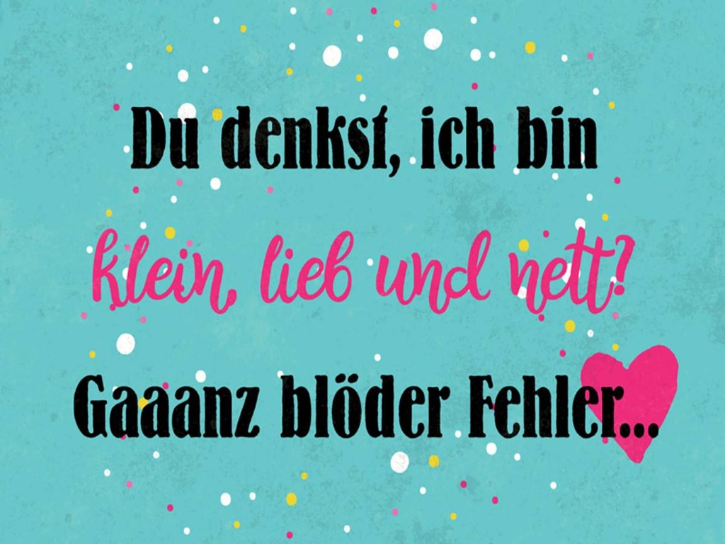 Holzschild 30x40 cm du denkst ich bin klein lieb