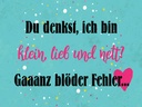 Holzschild 30x40 cm du denkst ich bin klein lieb