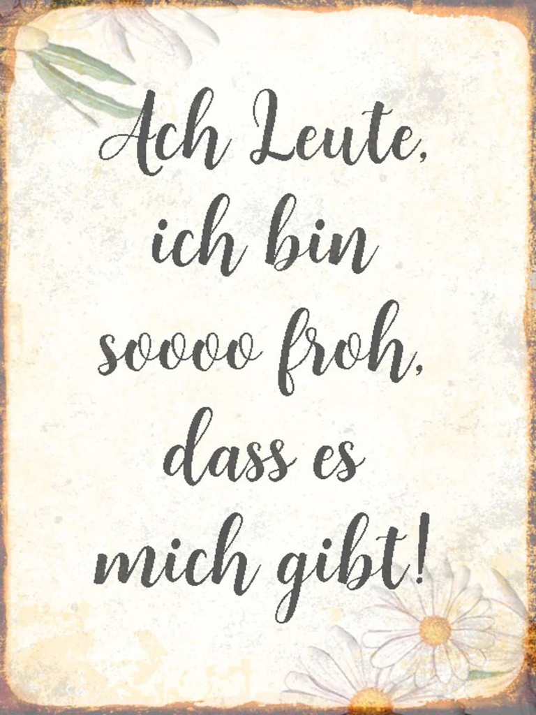 Holzschild 40x30 cm Ach Leute ich bin soo froh