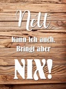 Holzschild 40x30 cm Nett kann ich auch bringt nix