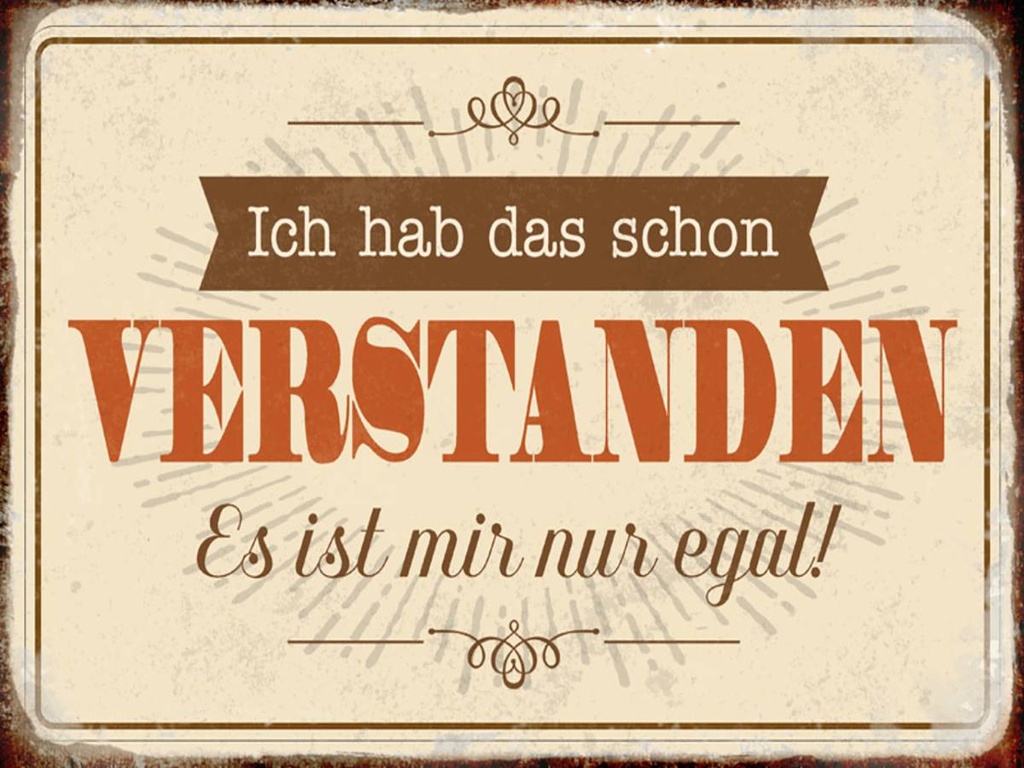Holzschild 30x40 cm hab verstanden ist mir nur egal