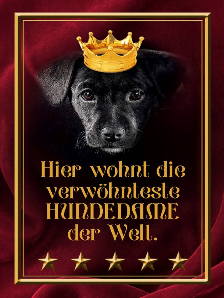 Holzschild 40x30 cm hier wohnt Hundedame der Welt
