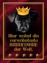 Holzschild 40x30 cm hier wohnt Hundedame der Welt