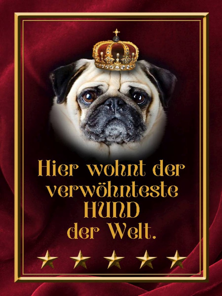 Holzschild 40x30 cm hier wohnt Hund der Welt