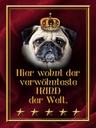 Holzschild 40x30 cm hier wohnt Hund der Welt