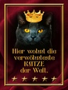 Holzschild 40x30 cm hier wohnt Katze der Welt