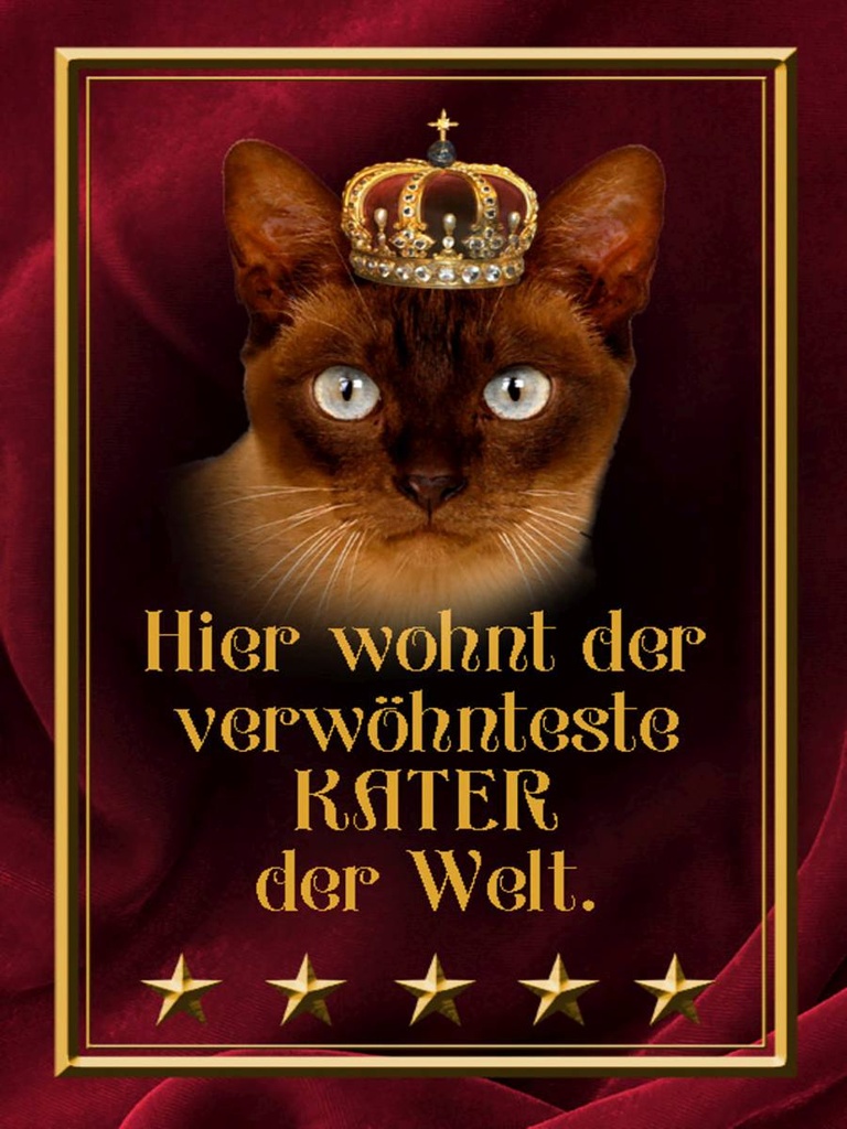 Holzschild 40x30 cm hier wohnt Kater der Welt