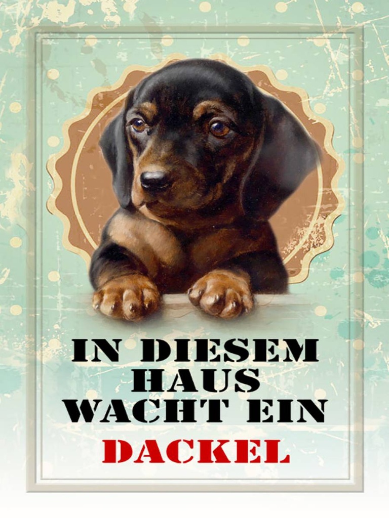 Holzschild 40x30 cm Hund in diesem Haus wacht ein Dackel
