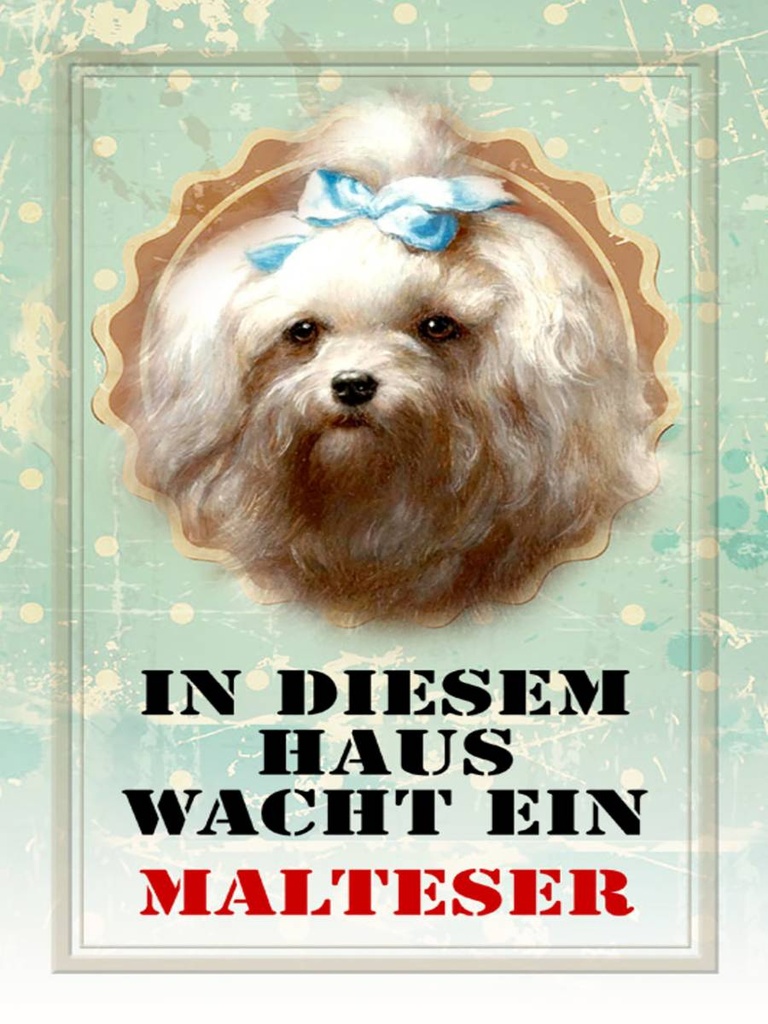 Holzschild 40x30 cm Hund in diesem Haus wacht Malteser