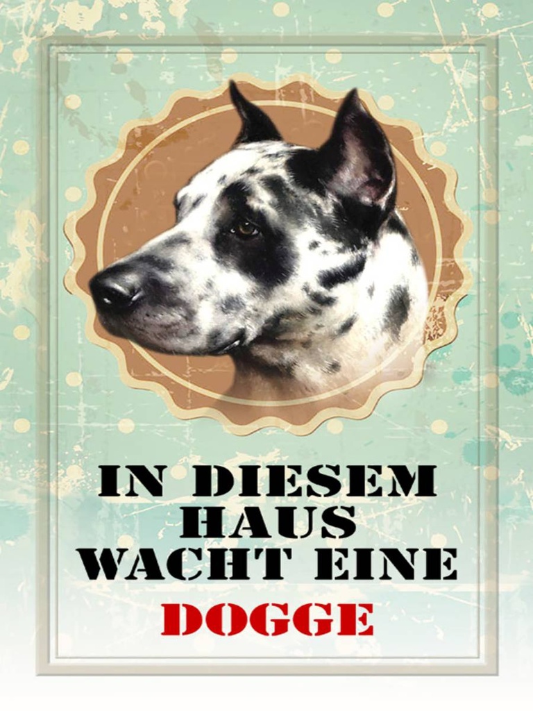 Holzschild 40x30 cm Hund in diesem Haus wacht eine Dogge