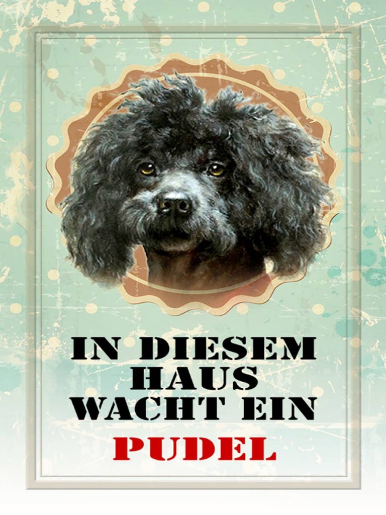 [LA-1790290-H] Holzschild 40x30 cm Hund in diesem Haus wacht ein Pudel