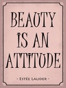 Holzschild 40x30 cm beauty is an attitude