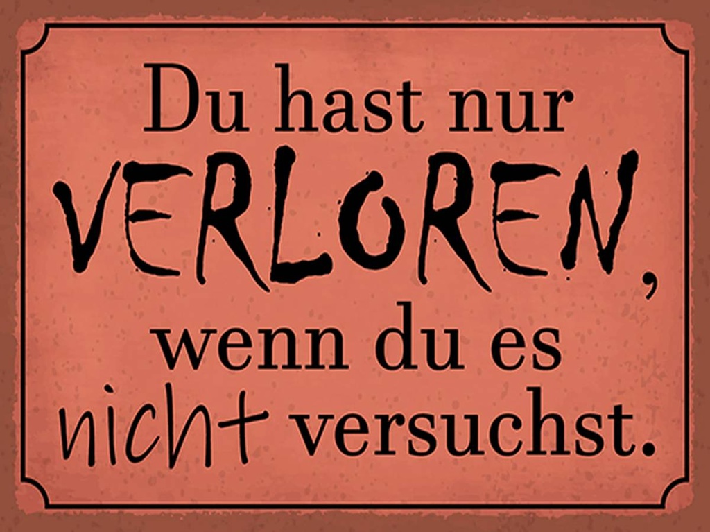 Holzschild 30x40 cm Du hast nur verloren wenn du es
