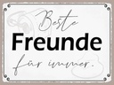 Holzschild 30x40 cm beste Freunde für immer