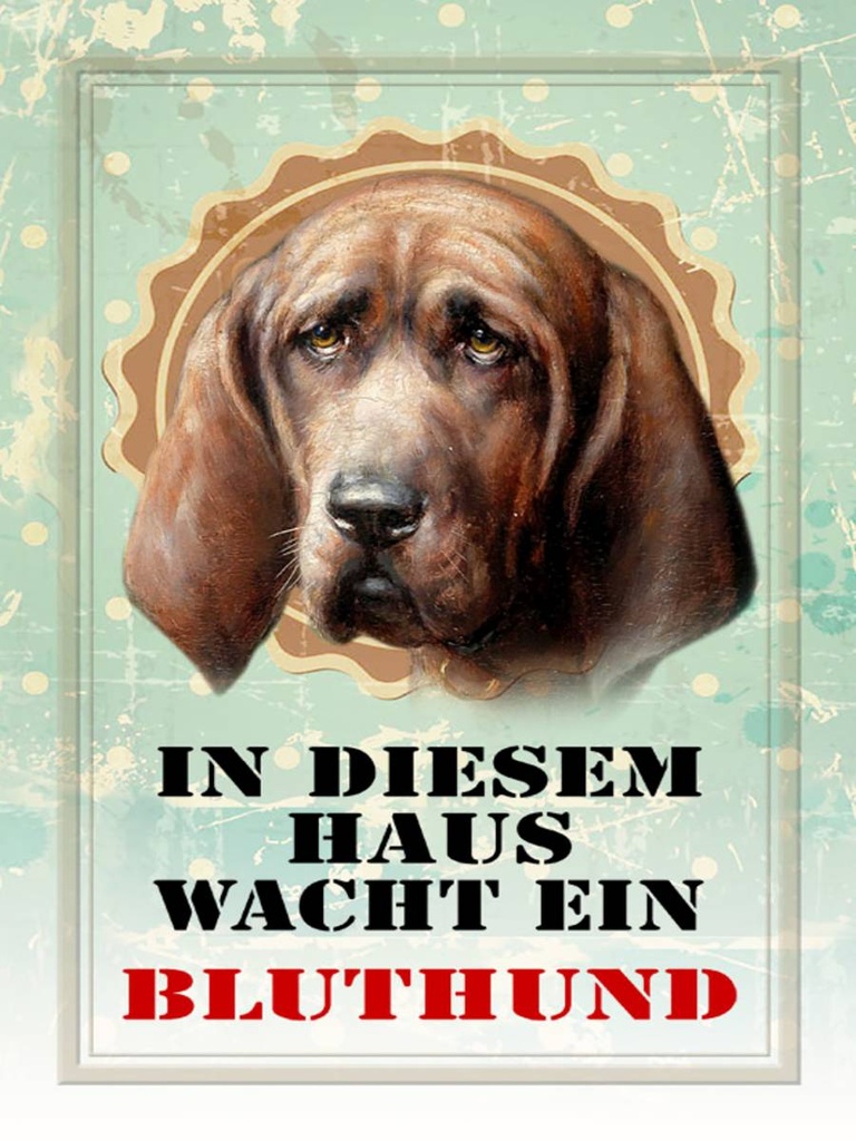 Holzschild 40x30 cm Hund in diesem Haus wacht Bluthund