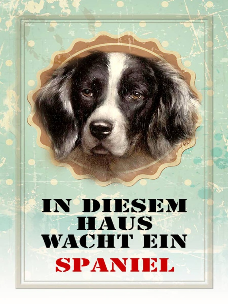 Holzschild 40x30 cm Hund in diesem Haus wacht ein Spaniel