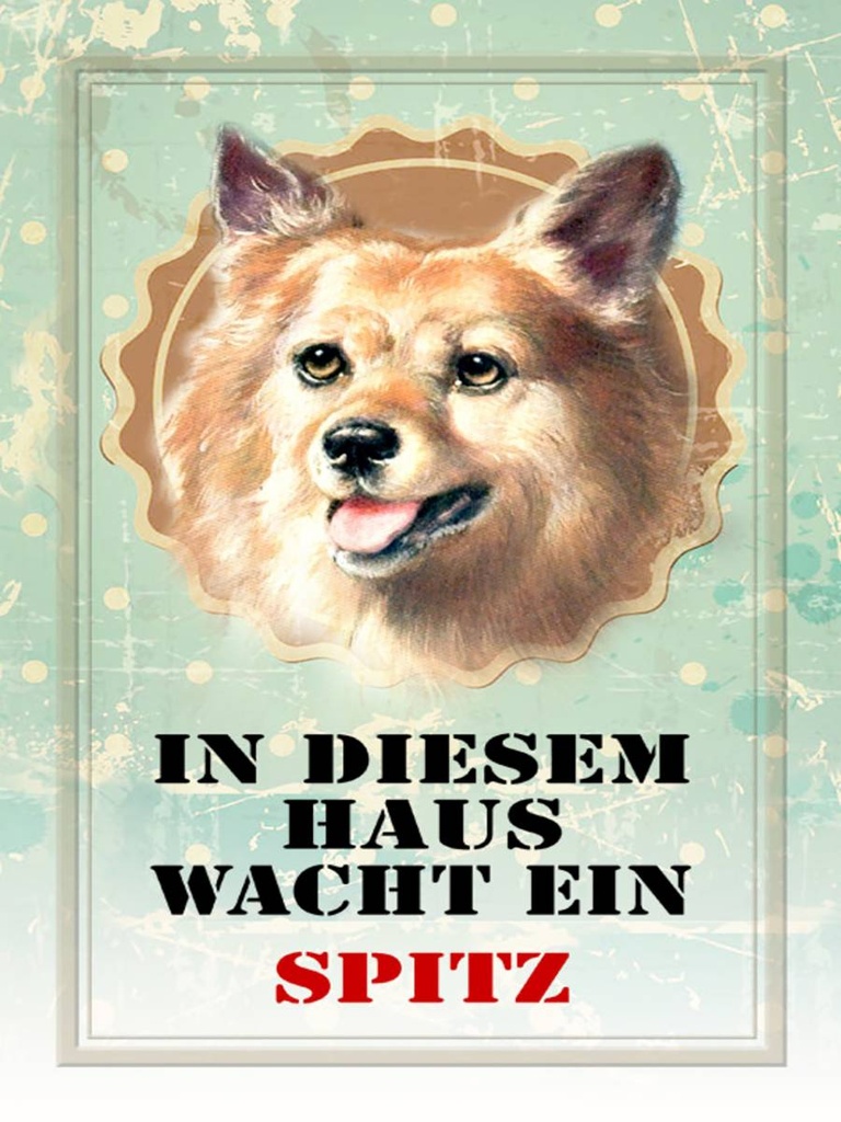 Holzschild 40x30 cm Hund in diesem Haus wacht ein Spitz