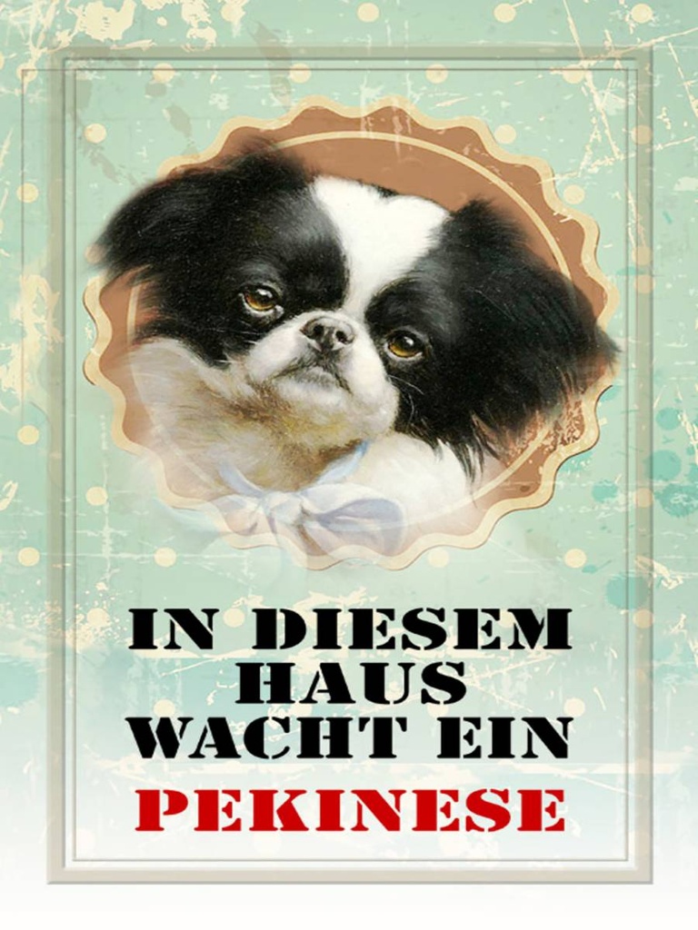 Holzschild 40x30 cm Hund in diesem Haus wacht Pekinese