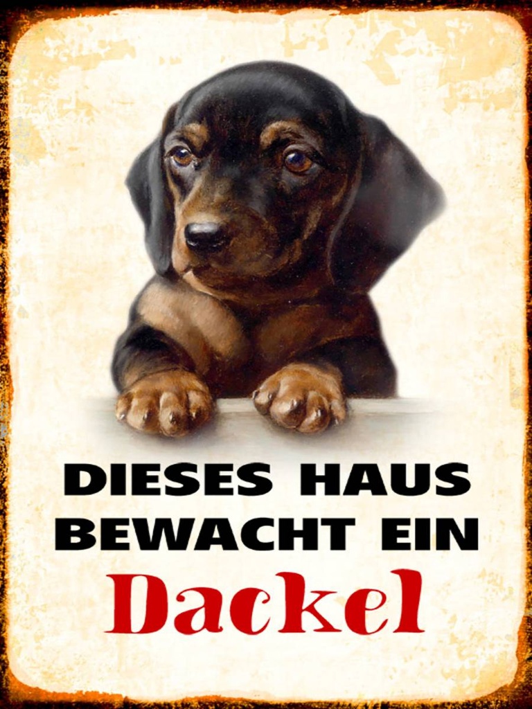 [LA-1790373-H] Holzschild 40x30 cm Hund dieses Haus bewacht ein Dackel