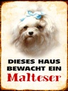 Holzschild 40x30 cm Hund dieses Haus bewacht ein Malteser