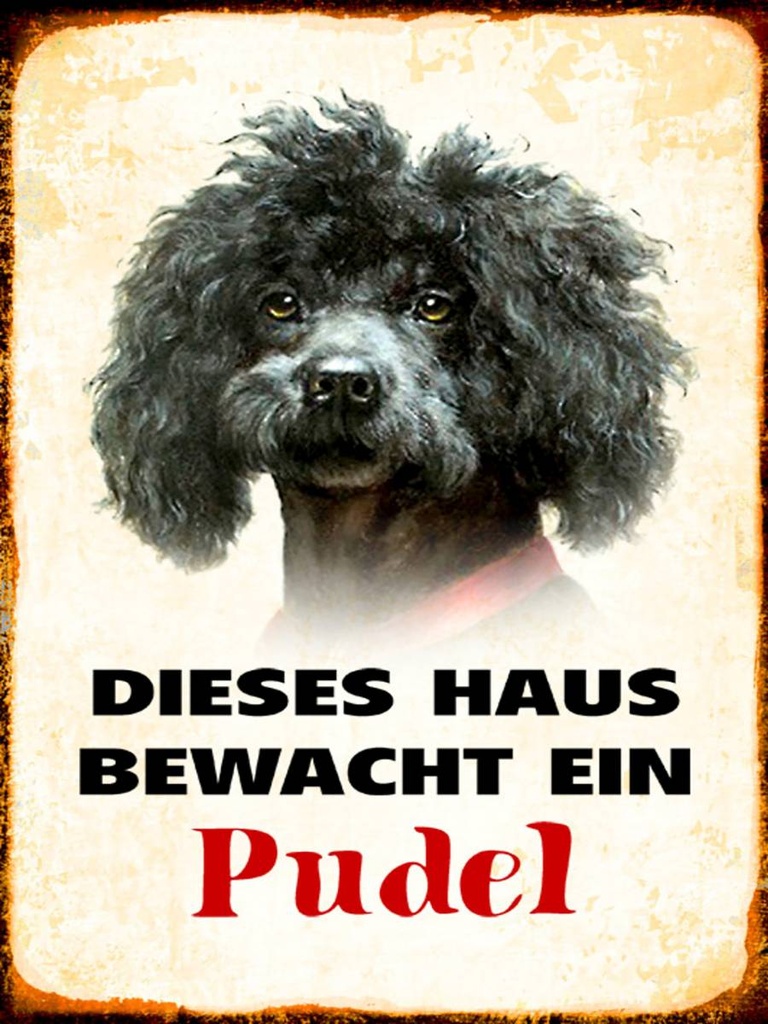 Holzschild 40x30 cm Hund dieses Haus bewacht ein Pudel