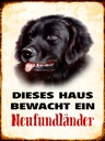 Holzschild 40x30 cm Hund dieses Haus bewacht Neufundländer