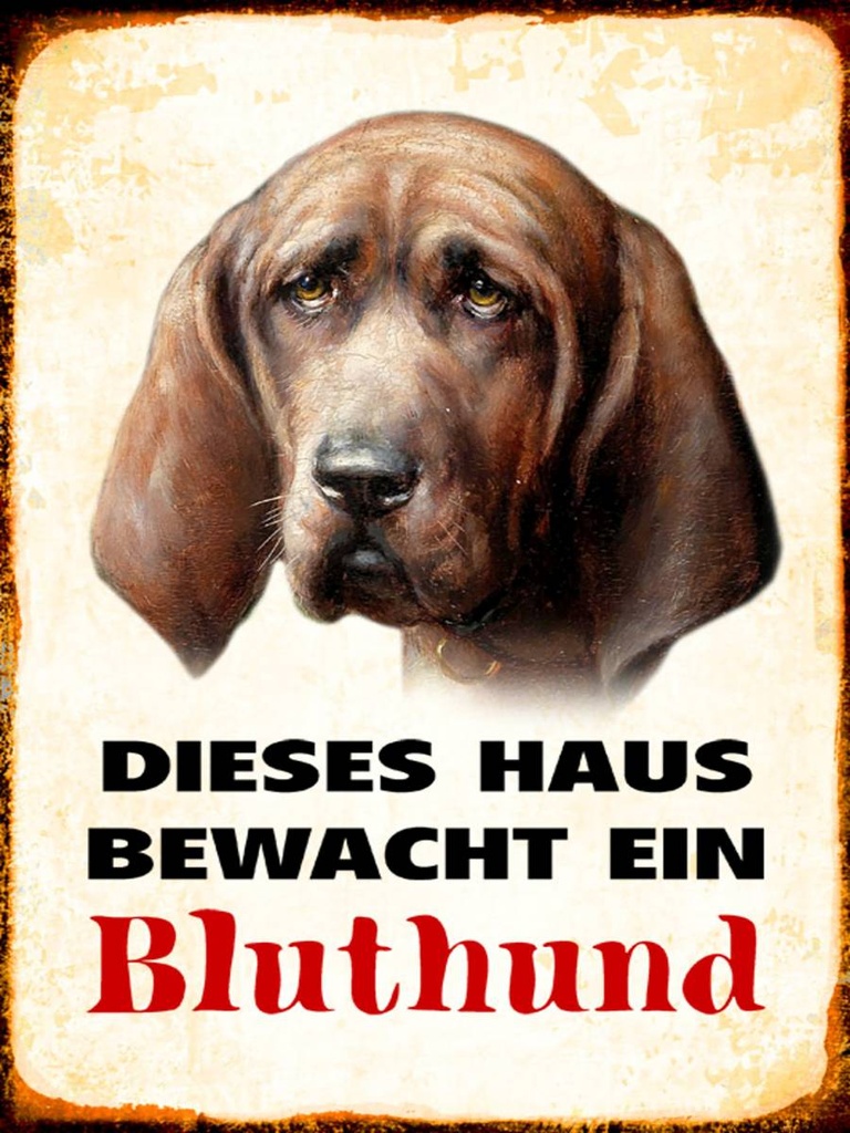 Holzschild 40x30 cm Hund dieses Haus bewacht ein Bluthund