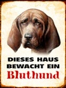 Holzschild 40x30 cm Hund dieses Haus bewacht ein Bluthund