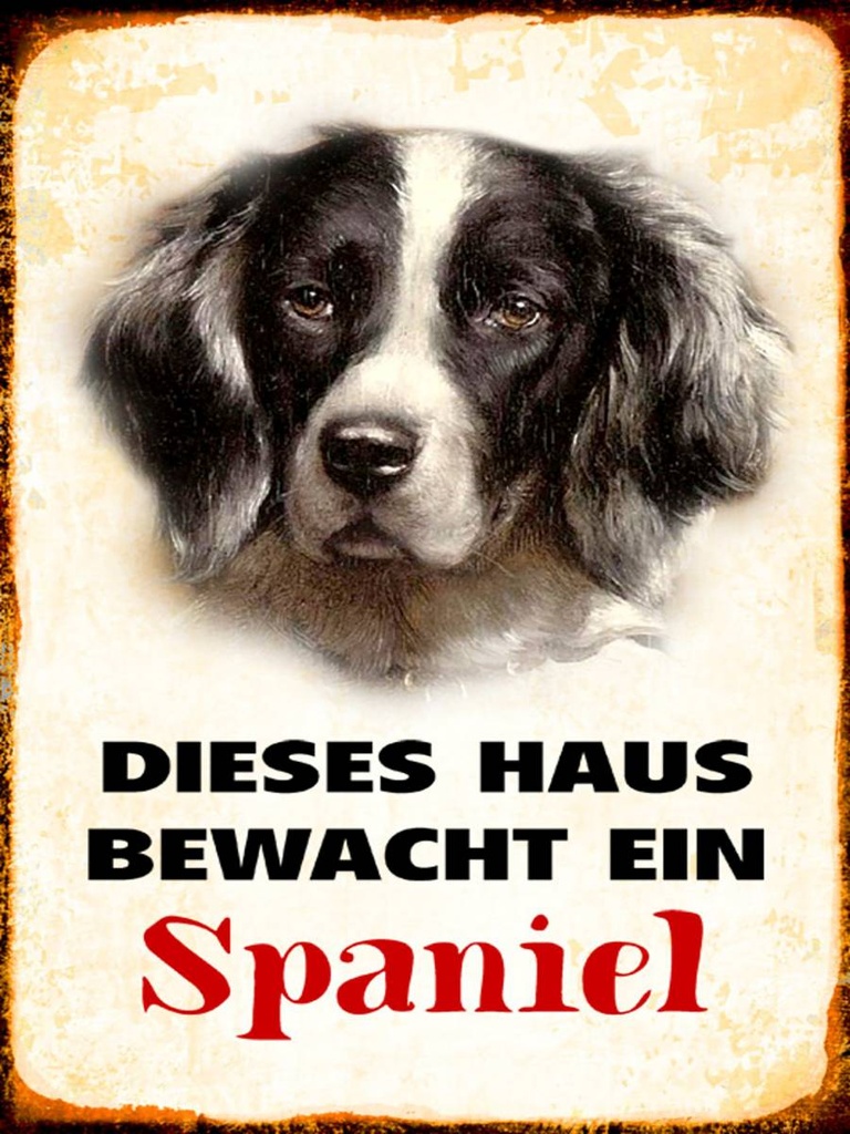 Holzschild 40x30 cm Hund dieses Haus bewacht ein Spaniel
