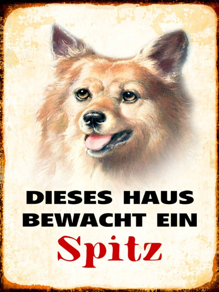 Holzschild 40x30 cm Hund dieses Haus bewacht ein Spitz