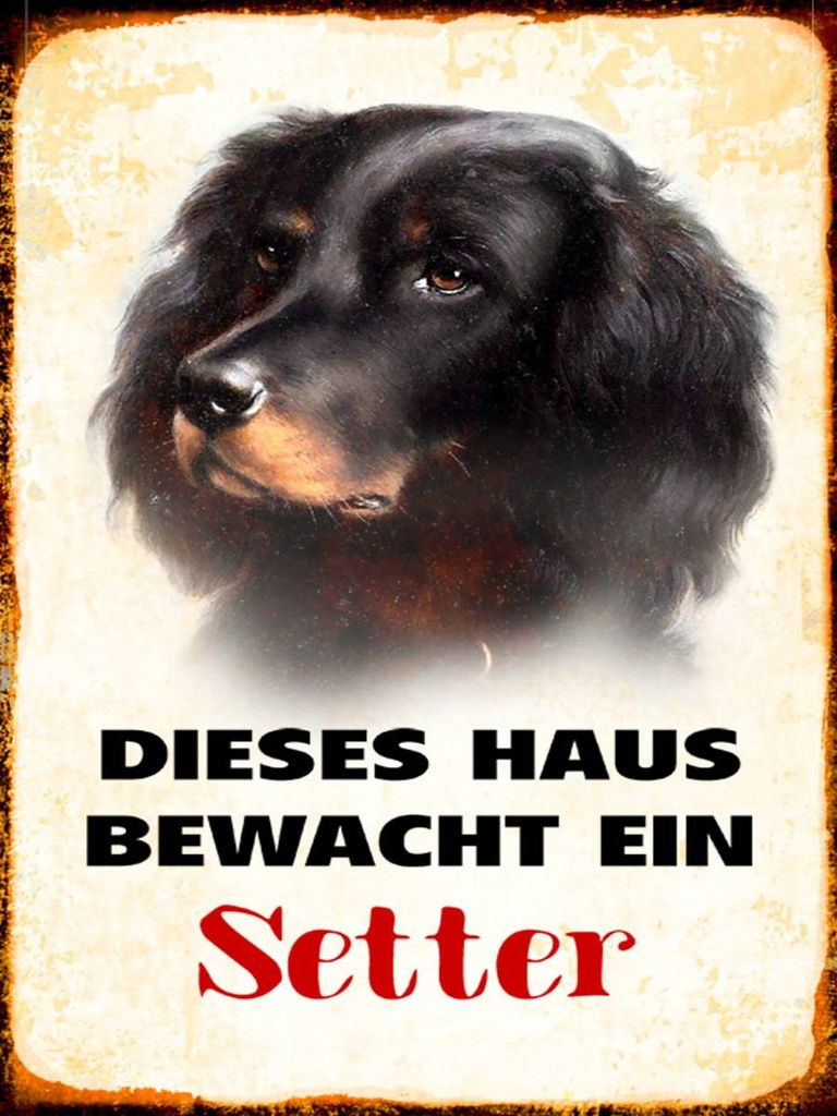 Holzschild 40x30 cm Hund dieses Haus bewacht ein Setter
