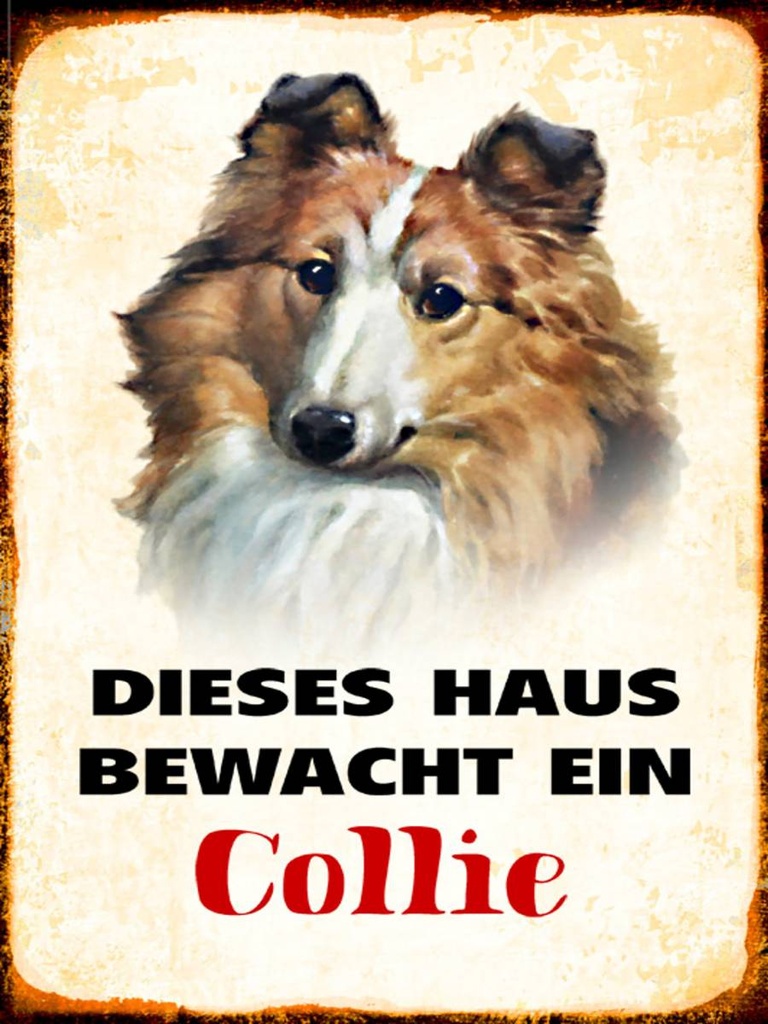 Holzschild 40x30 cm Hund dieses Haus bewacht ein Collie
