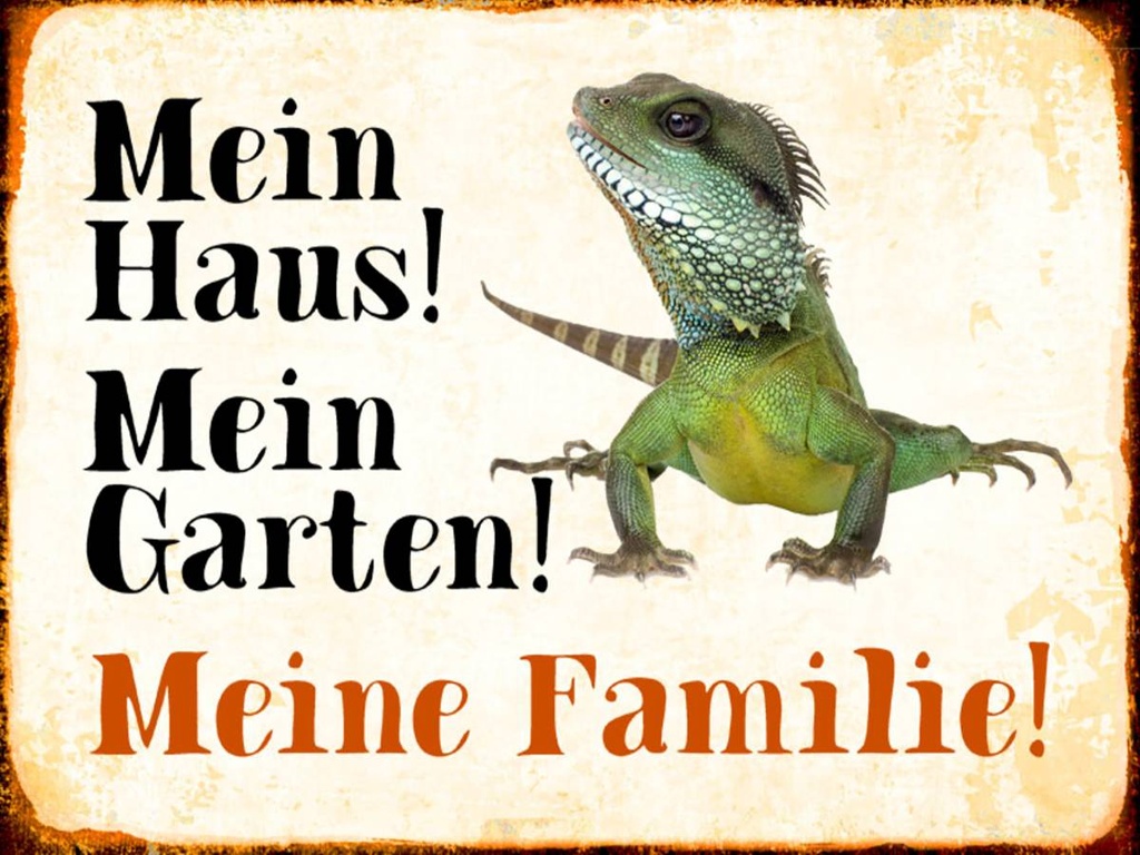Holzschild 30x40 cm Reptilien Chamäleon mein Haus Garten