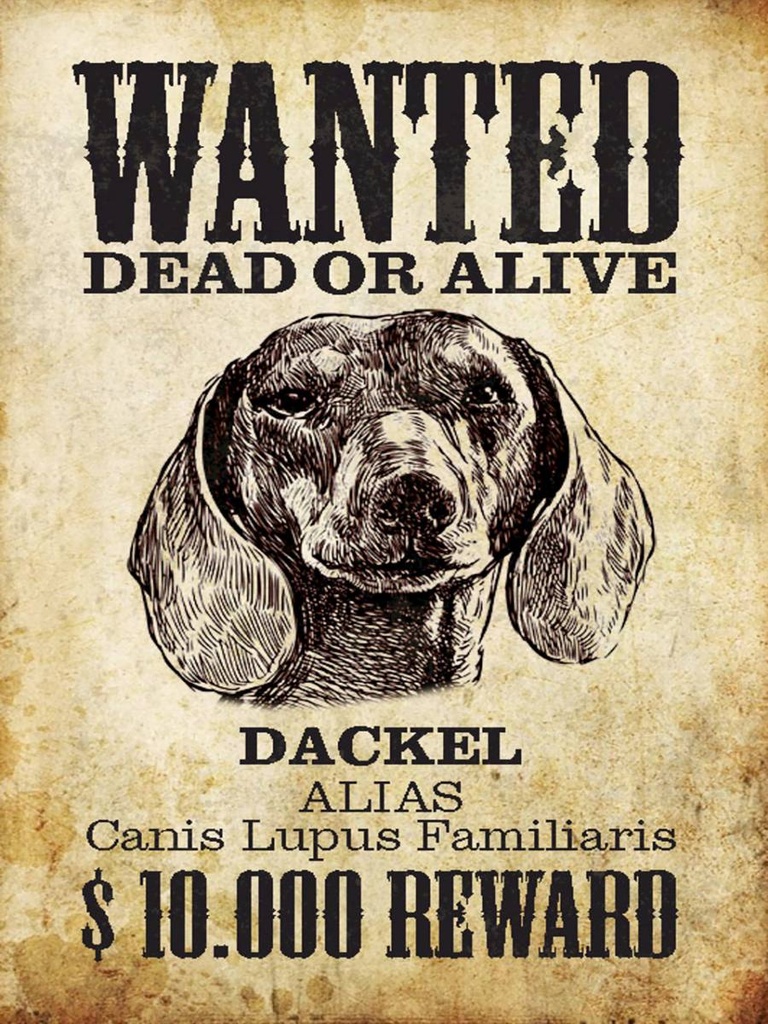 Holzschild 40x30 cm Hund wanted dead Dackel Alias