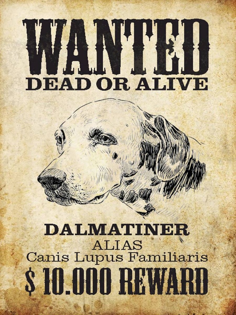 Holzschild 40x30 cm Hund wanted dead Dalmatiner