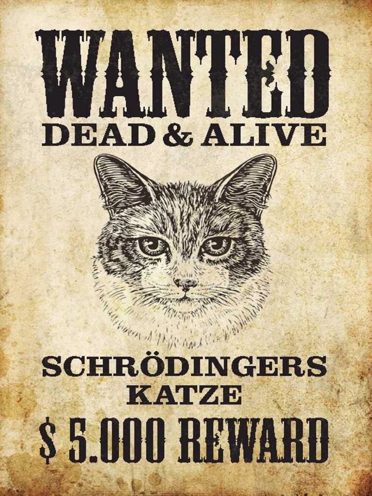 Holzschild 40x30 cm Tiere wanted Schrödingers Katze
