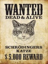 Holzschild 40x30 cm Tiere wanted Schrödingers Katze