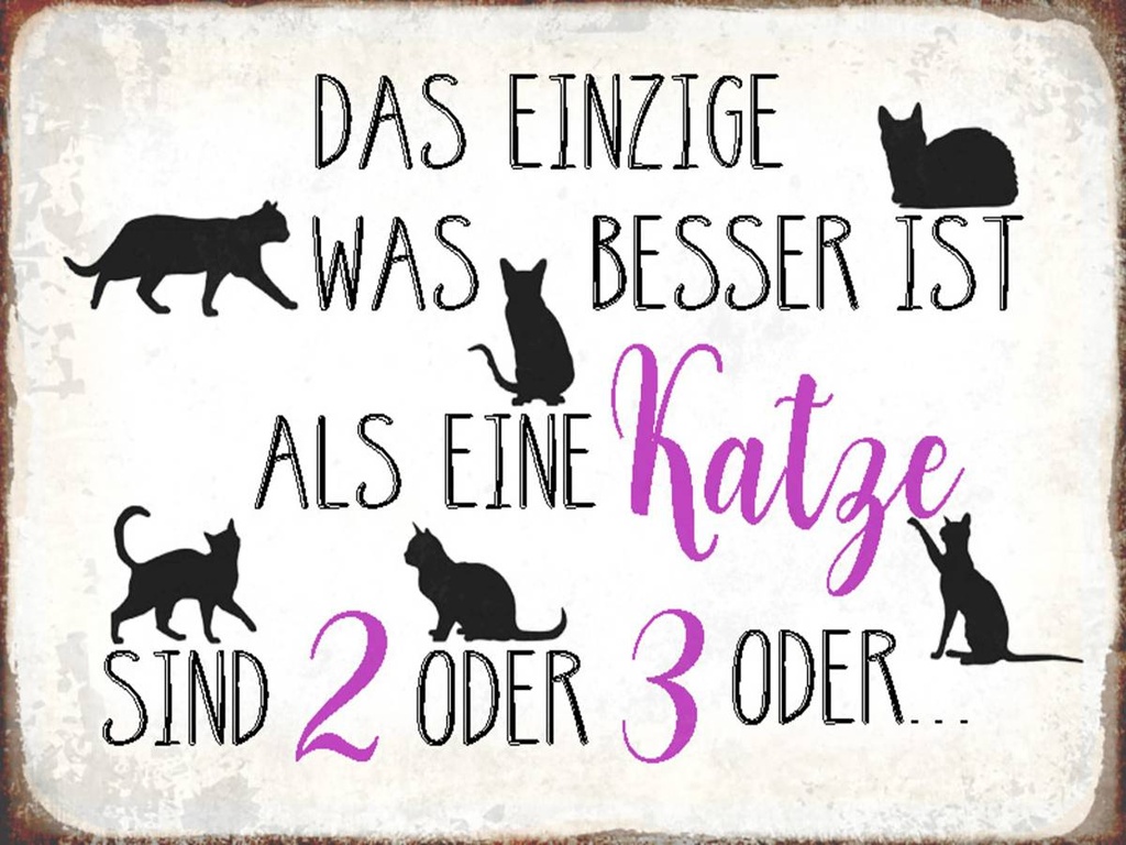 Holzschild 30x40 cm einzige was besser ist als Katze
