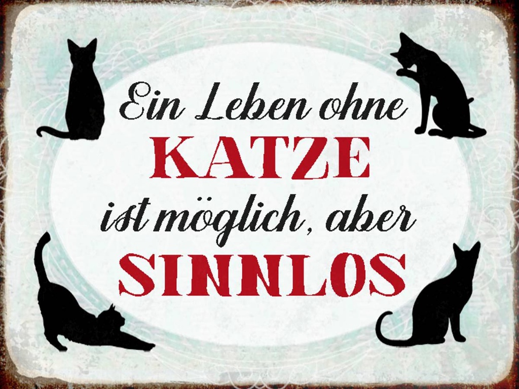 Holzschild 30x40 cm Leben ohne Katze sinnlos