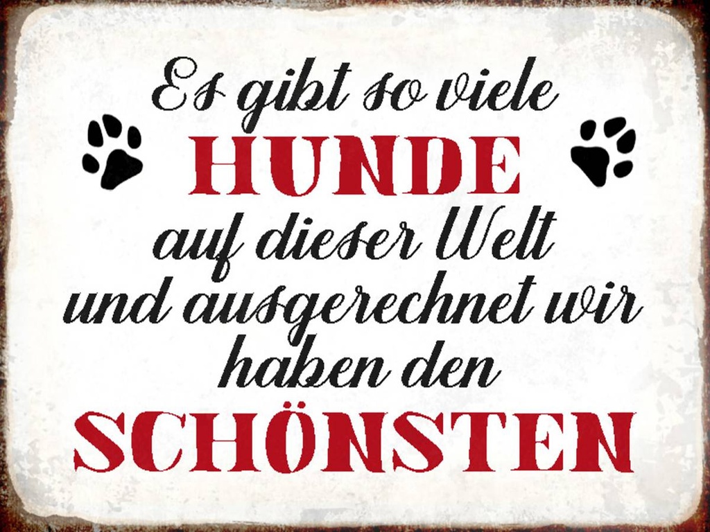 Holzschild 30x40 cm es gibt so viele Hunde