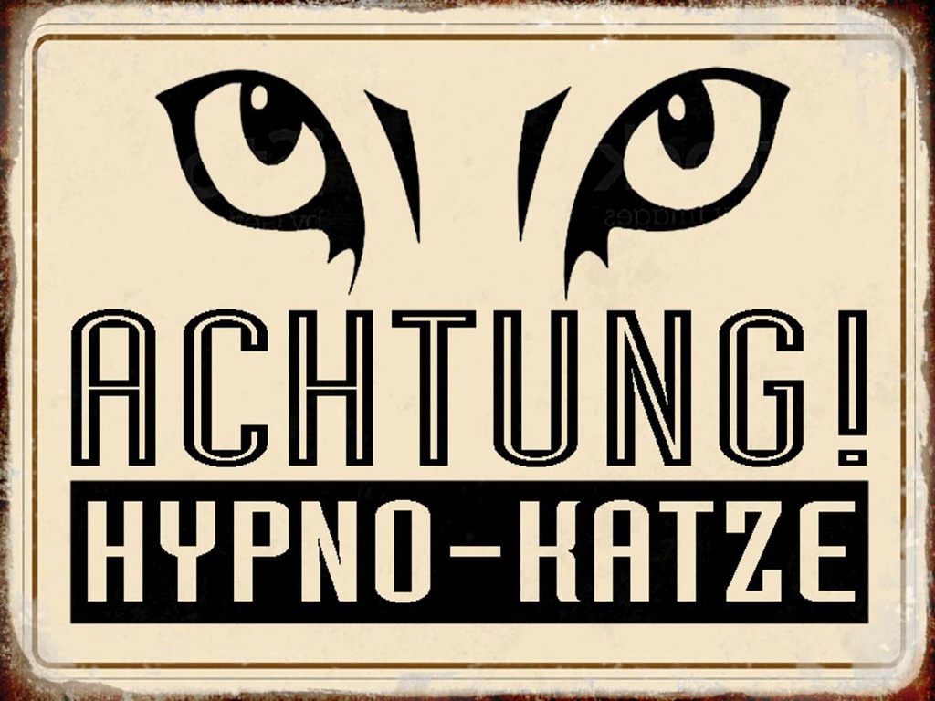 Holzschild 30x40 cm Retro Achtung Hypno-Katze