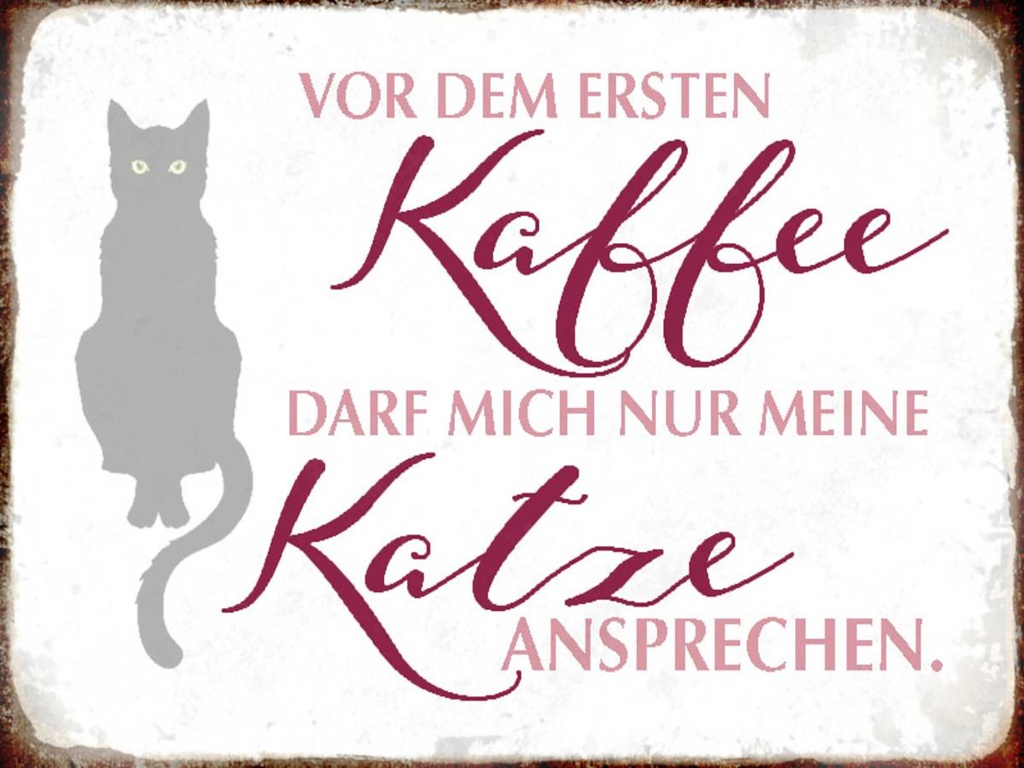 Holzschild 30x40 cm Katze vor dem ersten Kaffee nur Katze