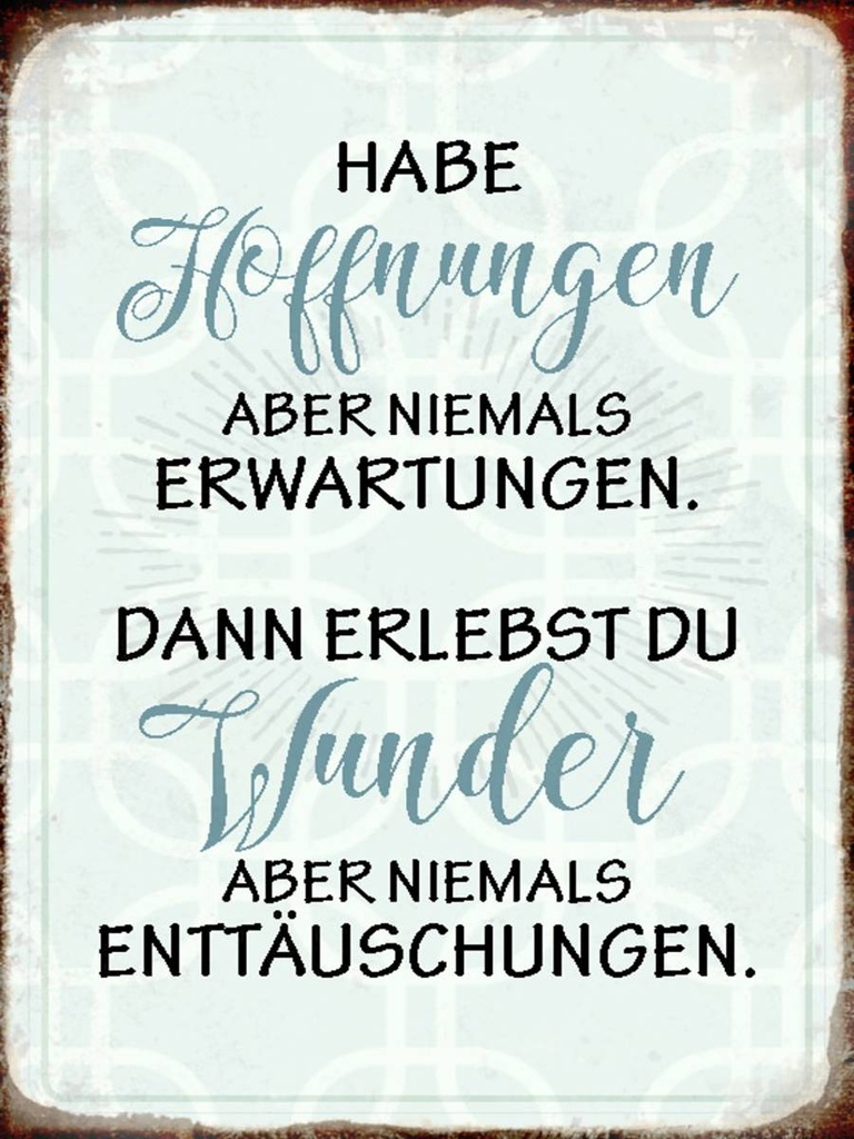 Holzschild 40x30 cm habe Hoffnungen nie Erwartungen