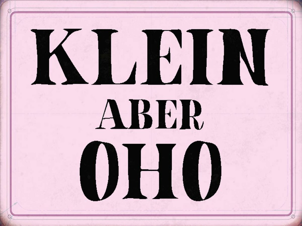 Holzschild 30x40 cm klein aber Oho