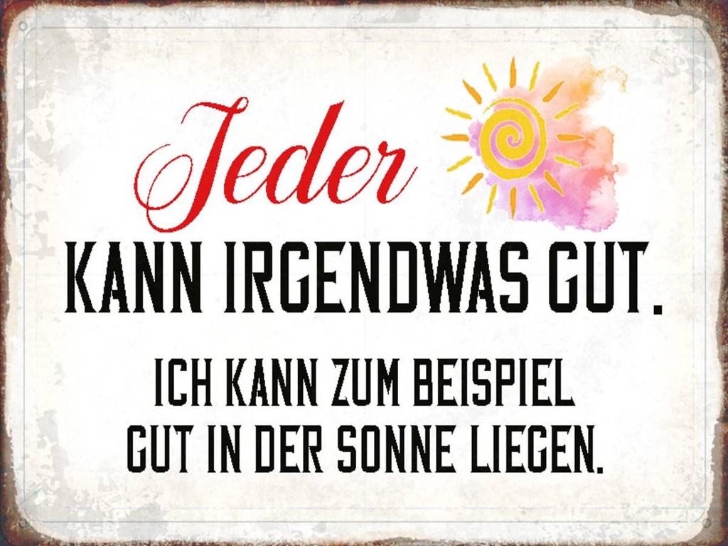 Holzschild 30x40 cm jeder kann irgendwas gut Sonne