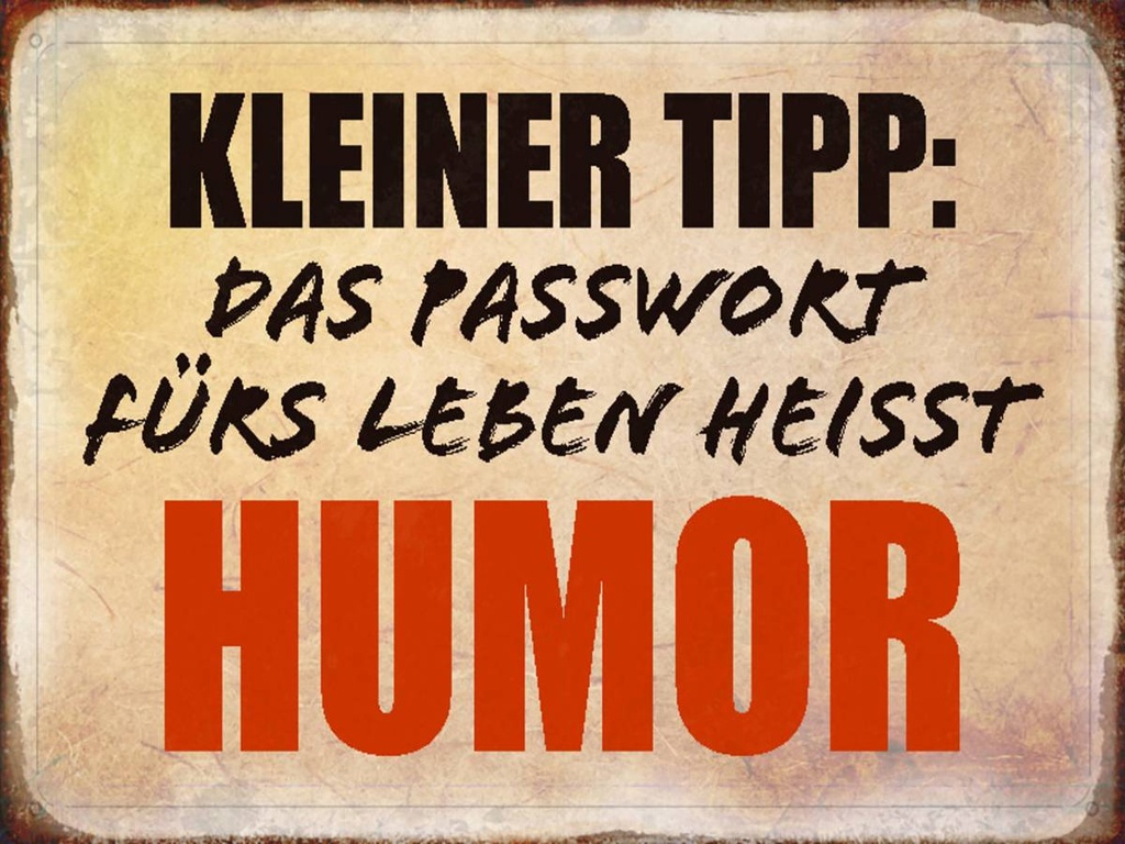 Holzschild 30x40 cm kleiner Tipp das Passwort Humor