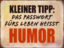 Holzschild 30x40 cm kleiner Tipp das Passwort Humor