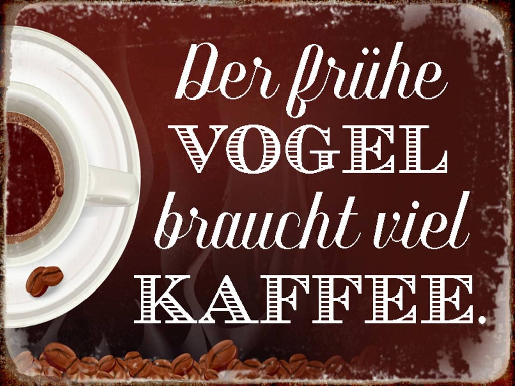 Holzschild 30x40 cm früher Vogel braucht viel Kaffee