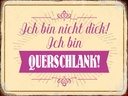 Holzschild 30x40 cm bin nicht dick ich querschlank